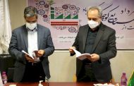 رونمایی از کتاب هنرمندان موفق خوشه انگشتر در قم