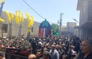 گزارش تصویری مراسم سنتی و آیین نخل‌گردانی ظهر عاشورا روستای قبادبزن